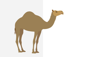 Camel in Flat Design style