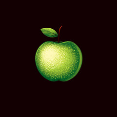 Original vector illustration of a green apple in vintage style. A design element.