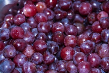 Beautiful grapes for consumption and for making juice. Fruits with the benefit of
 cancer prevention and fatigue reduction
