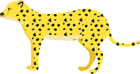 横から見たチーター