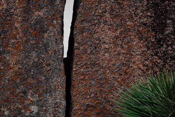 weathered batholith granite rock formation where erosion resulted in a gap dividing the rock in front of an overcast sky with a yucca plant showing in one corner. - obrazy, fototapety, plakaty