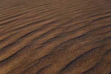 pattern in sand dunes in warm colors