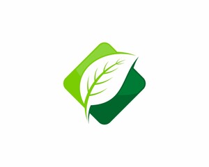 Nature leaf in the square shape logo