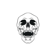 Hand drawn anatomy skull with different tones and lines. Vector illustration.