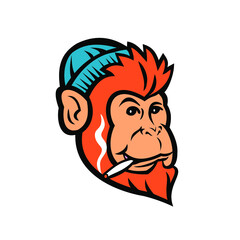 Mascot illustration of head of monkey ape primate or chimp smoking a cigarette or joint of cannabis viewed from front on isolated background in retro style.