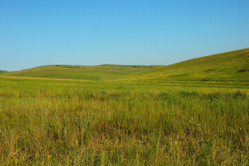 A field of tall grass in a picturesque valley surrounded by rolling hills under a clear summer sky.