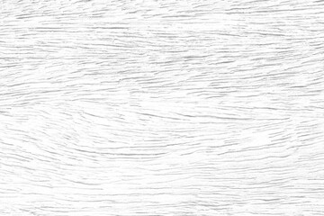 Surface white wood plank texture for background