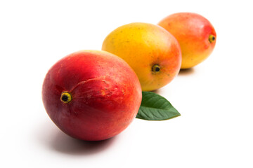 Mango fruit isolated on white background