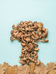 A mushroom made of autumn honeydew on oak leaves on a blue background. Flat lay.