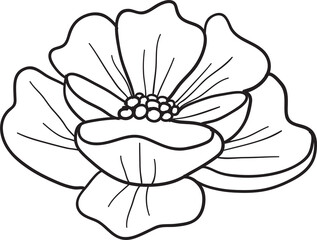 Floral Wreath Plant Arrangement Decorative Ornament Save the Date Invitation