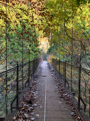 A suspension bridge with dead leaves