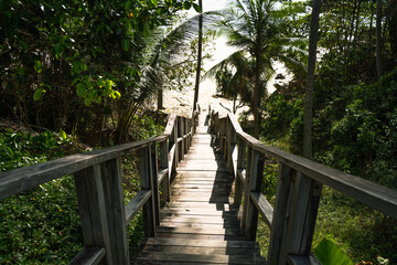 Footprints POV walking down downstairs wooden boardwalk stairs steps leading beach shore coconut palm trees seaside