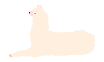 cute sitting llama