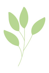 green leaves branch