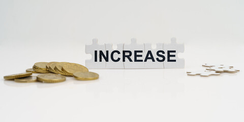 On a white background, there are coins and puzzles with the inscription - INCREASE