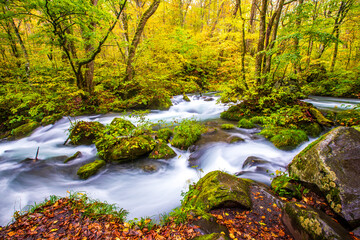 青森県　秋の奥入瀬渓流