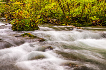 青森県　秋の奥入瀬渓流・三乱の流れ