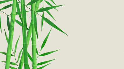 Bamboo tree background with copy space. 3D rendering illustration. 