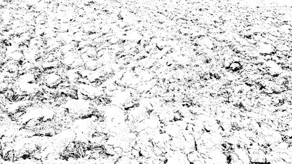 Rough wall texture background collection, wall texture, for interior decoration, decoration, wallpaper, etc.