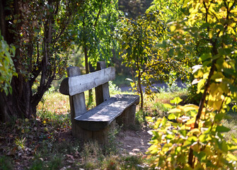 Fototapeta na wymiar Authentic wooden bench in the city park. The bench is empty, no people. Sunny autumn weather, pacification, calmness, relaxation.