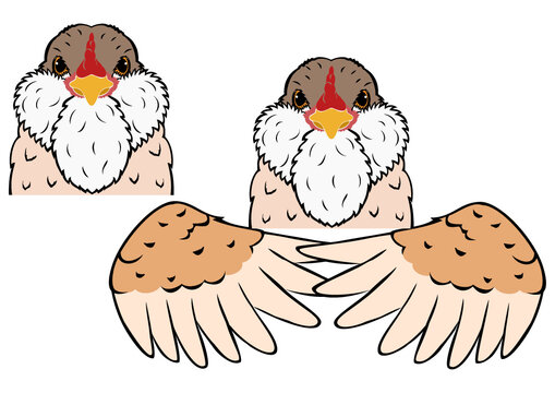 buff bearded easter egger chicken head and wings with outline
