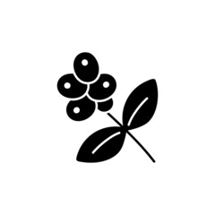 Coffee tree  icon  in solid black flat shape glyph icon, isolated on white background 