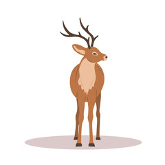 Cute noble sika deer. Reindeer with antlers on white background. Ruminant mammal animal. Vector illustration in flat cartoon style.