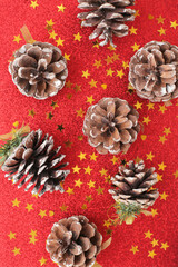 .Christmas decorations