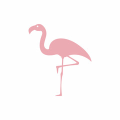 pink flamingo bird icon vector illustration