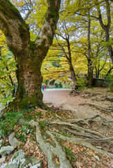 voidomatis river in aristi village trees rafting boats in autumn season