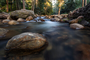 boulders in a flowing creek with light in trees