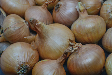 Onions grown in your own garden .