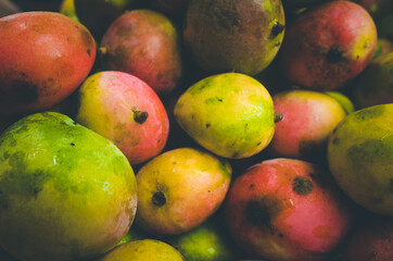 red and green mangos