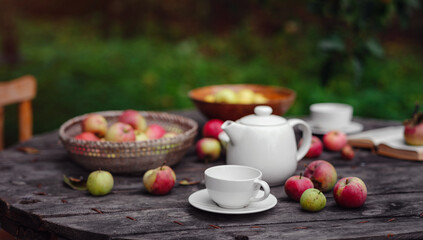beautiful autumn still life in apple orchard