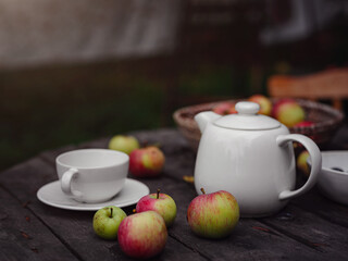 beautiful autumn still life in apple orchard