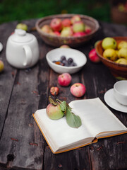 beautiful autumn still life in apple orchard