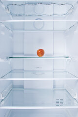 against the background of a white refrigerator, there is an apple on a glass shelf