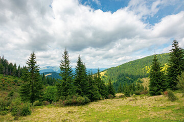 Fototapeta na wymiar mountainous summer landscape with view in to the valley. trees on the hill beneath a cloudy afternoon sky
