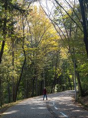 Fototapeta premium A leisurely walk in the park