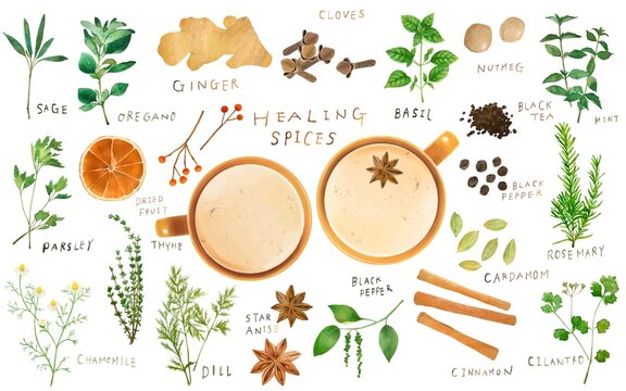 15 730 Best Dried Fruits Vector Images Stock Photos Vectors Adobe Stock 15 730 Best Dried Fruits Vector Images Stock Photos Vectors Adobe Stock