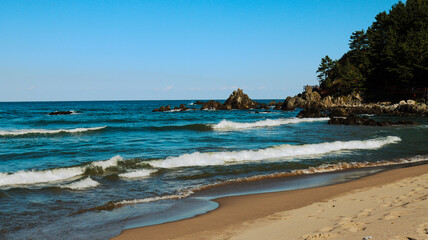 Obraz premium view of the beach