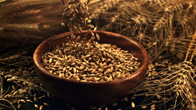 Super slow motion in the plate fall ripe rye grains. On a black background. Filmed on a high-speed camera at 1000 fps.High quality FullHD footage