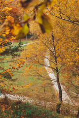 road in autumn city public park