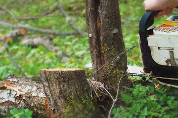 Man with saw. Man sawing log of the tree with flying sawdust outside
