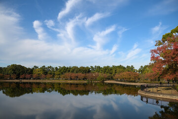 Fototapeta premium 桜並木のリフレクションが綺麗な池の背後に、煙が上っているように見える雲が浮かんでいる公園の風景