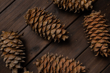 A pine cone and a walnut are lying on a wooden table