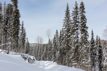 Snow trail to the mountain , Altai Republic, Russia