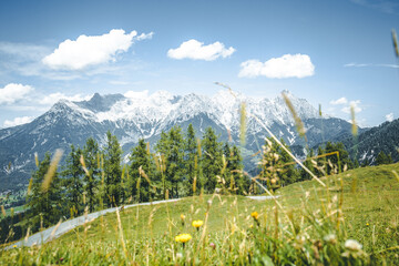 Gebirgskette in den Alpen im Sommer