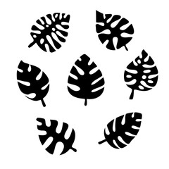 Monstera tropical leaves set, black and white vector