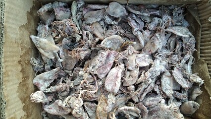 close up of dried fish